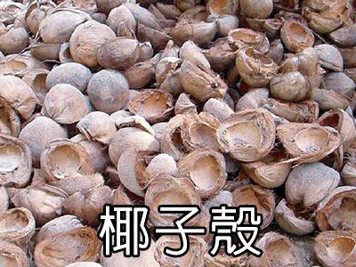 可使用椰子殼燃燒後產(chǎn)生的的熱風當作熱源